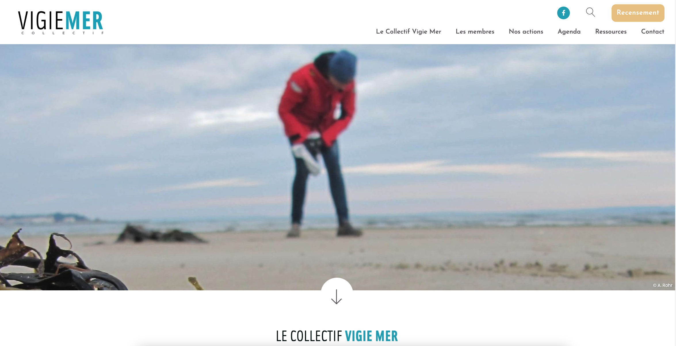 Un site internet pour le Collectif Vigie Mer !